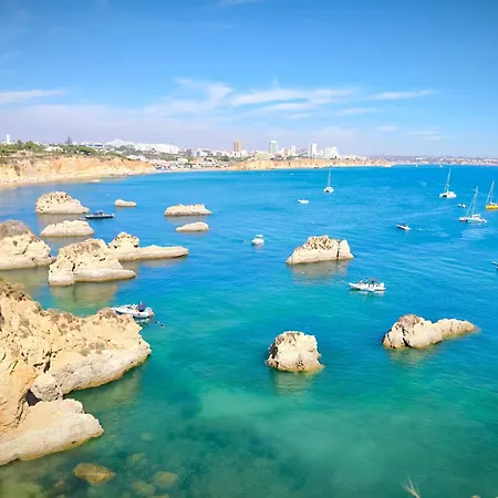 Seaview Varandas Do Sol 2 Appartamento *